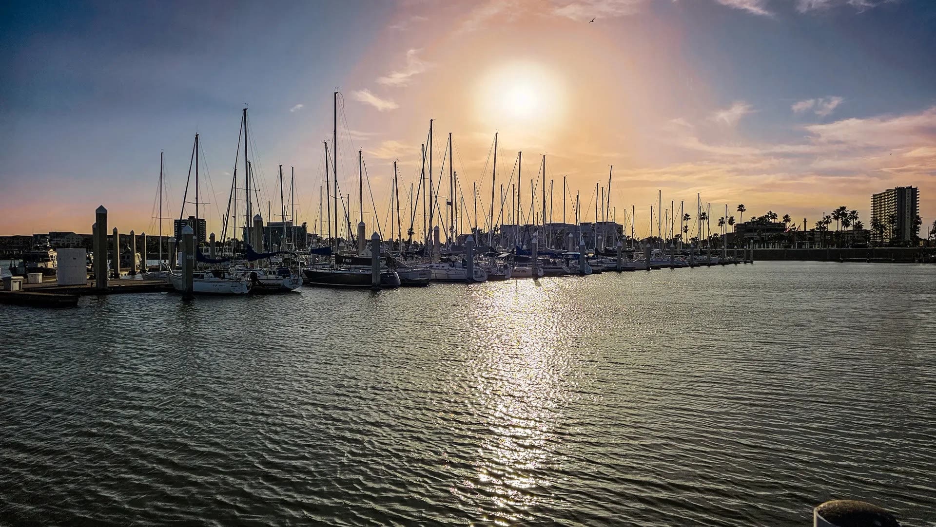 Corpus Christi marina and bayfront at sunset